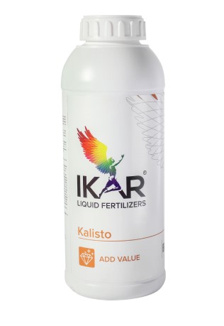 Ikar Калисто S